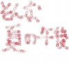 oogiriphp_980.jpg